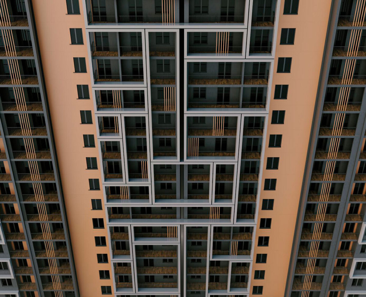 ʳ����� ����