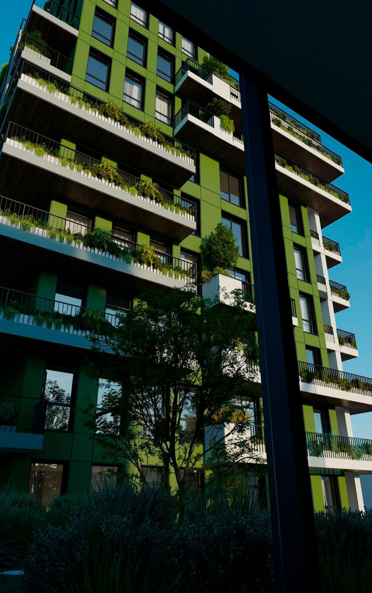 BORGO VERDE ����