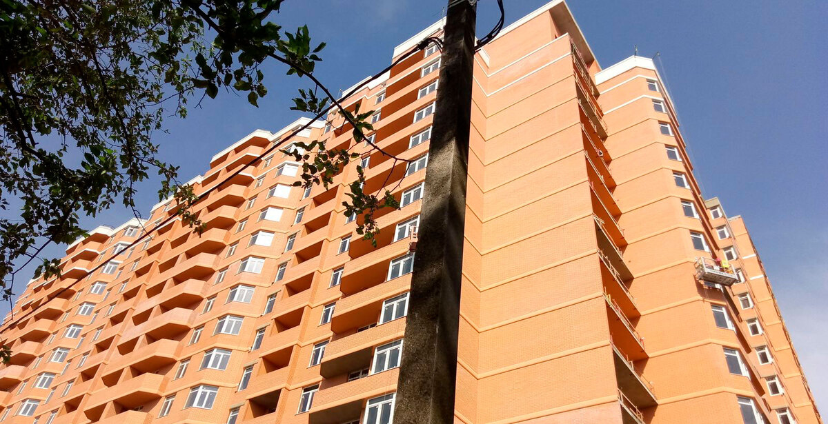 RealPark ����