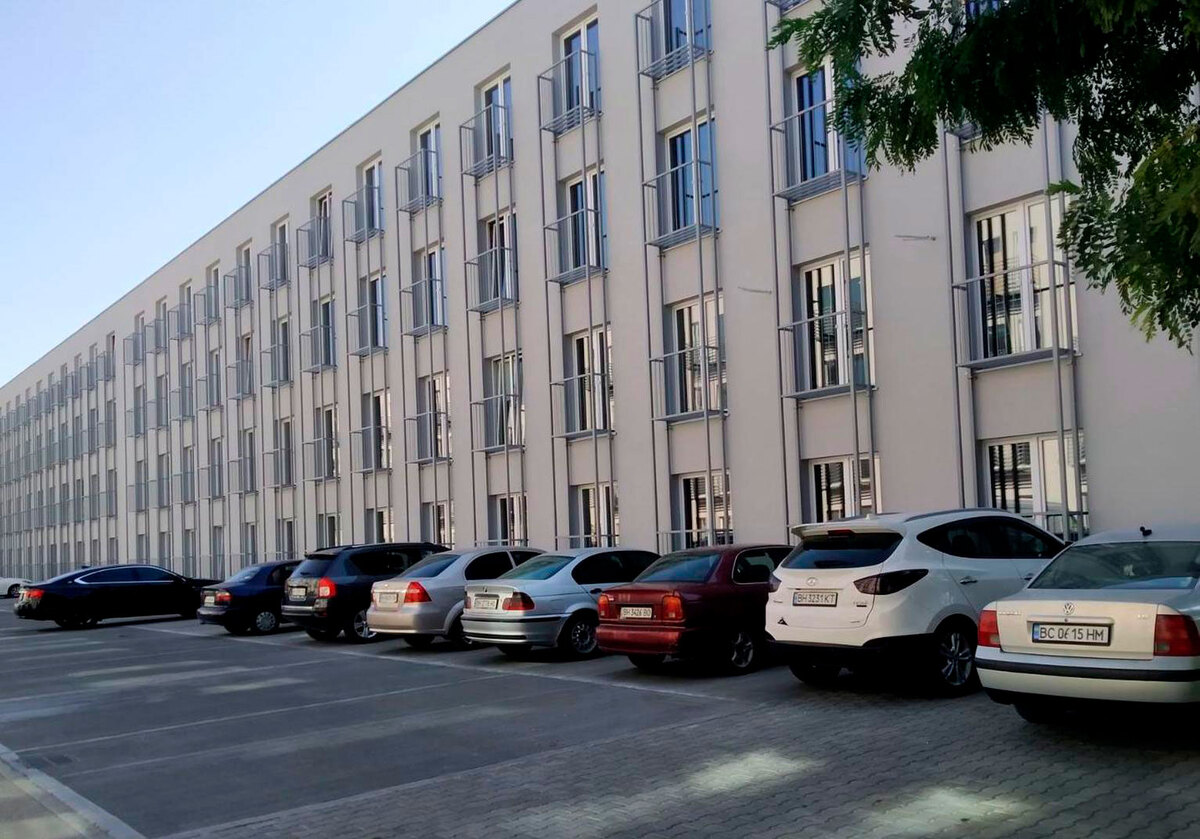 ����� ������ ����