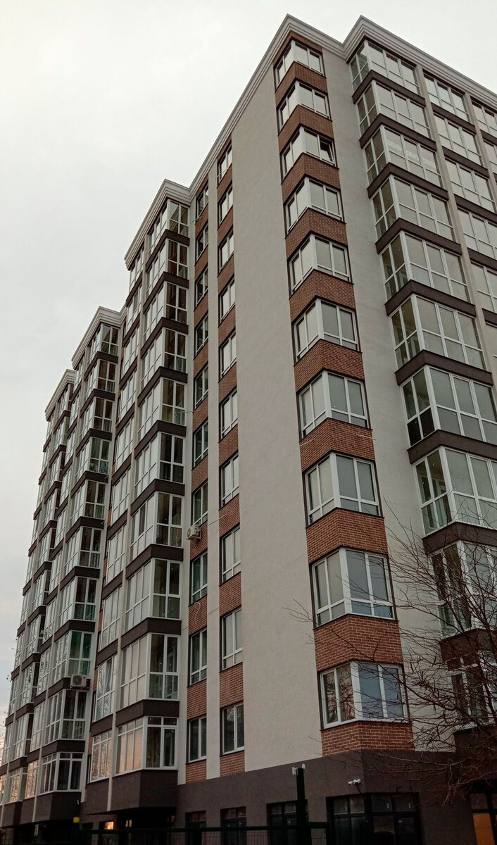 ��������-4 ����