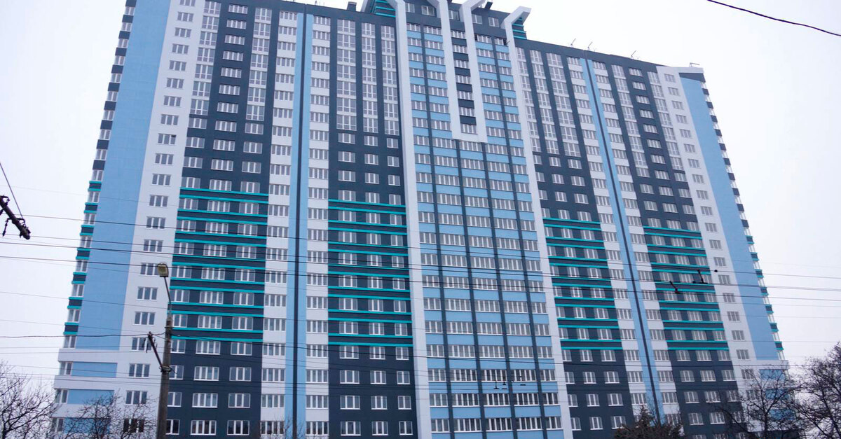 ���� ѳ� ����