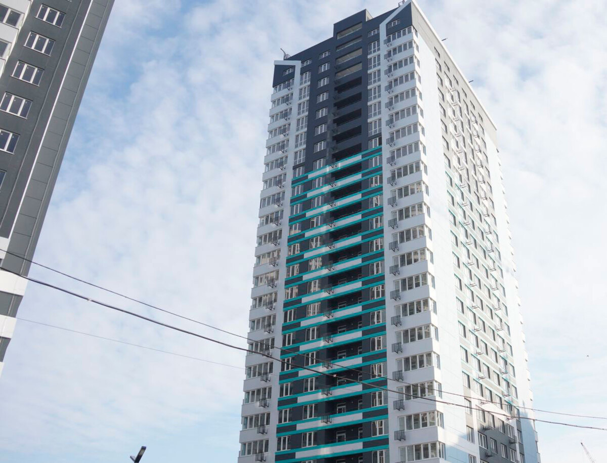 ���� ѳ� ����