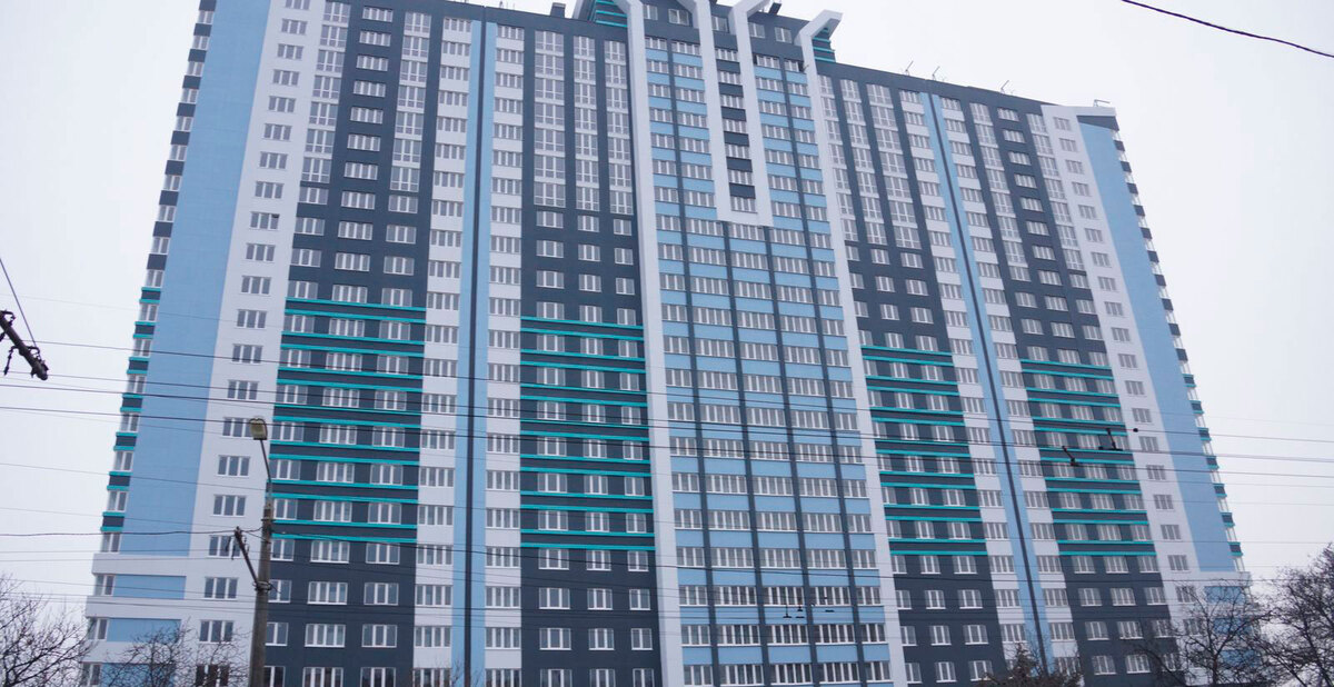 ���� ѳ� ����