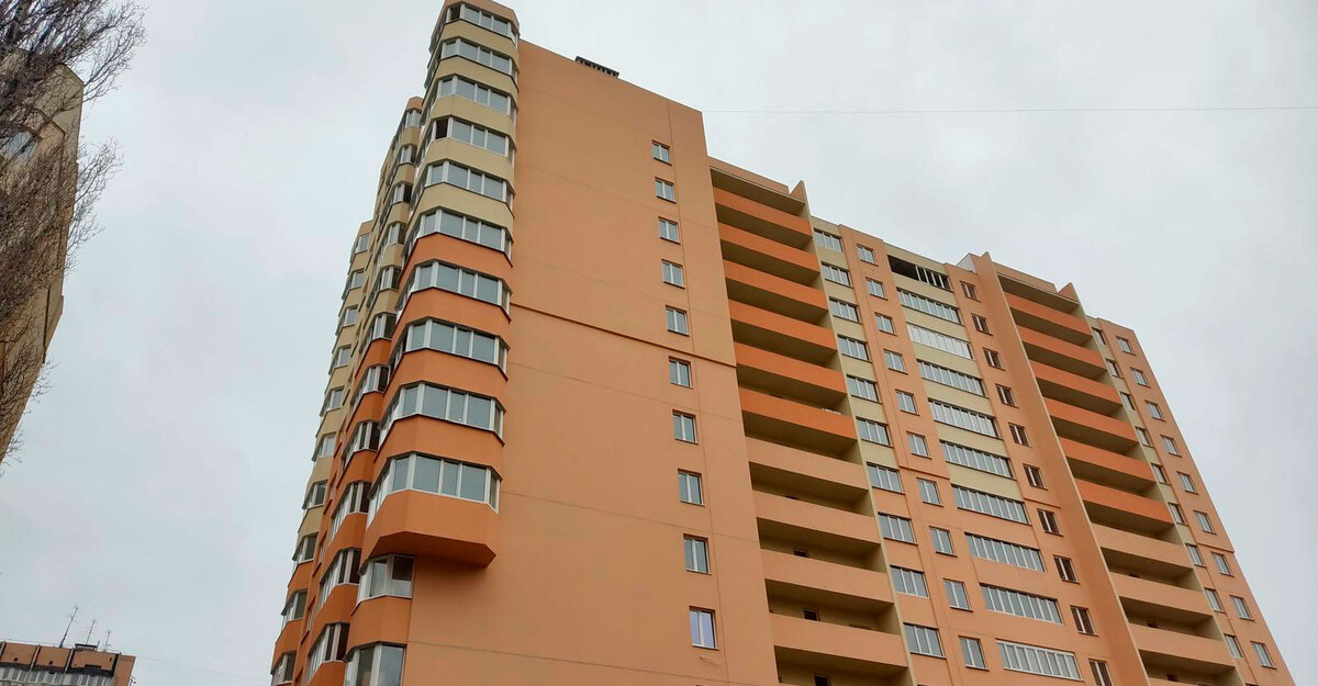 ³������ ����