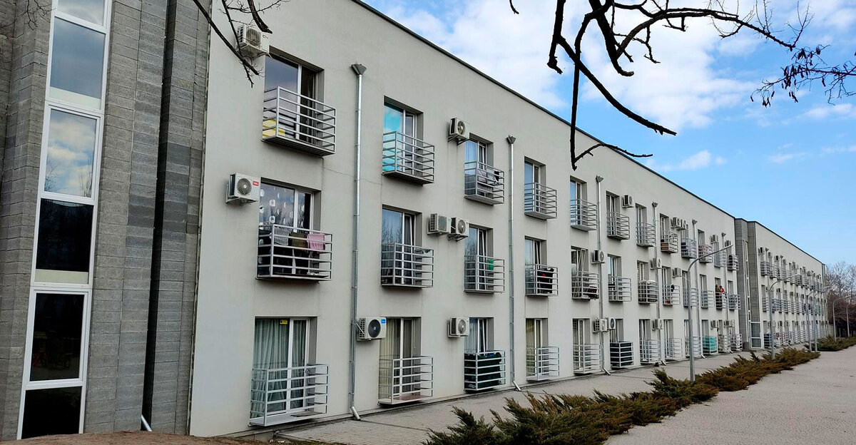 ����� ������ ����