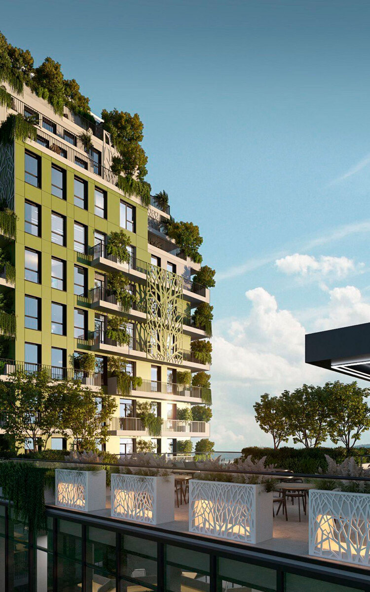 BORGO VERDE ����