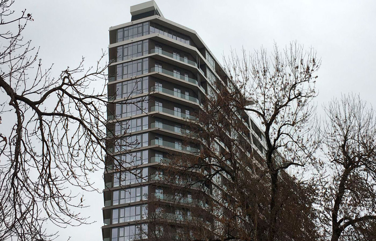 Green Wood ����