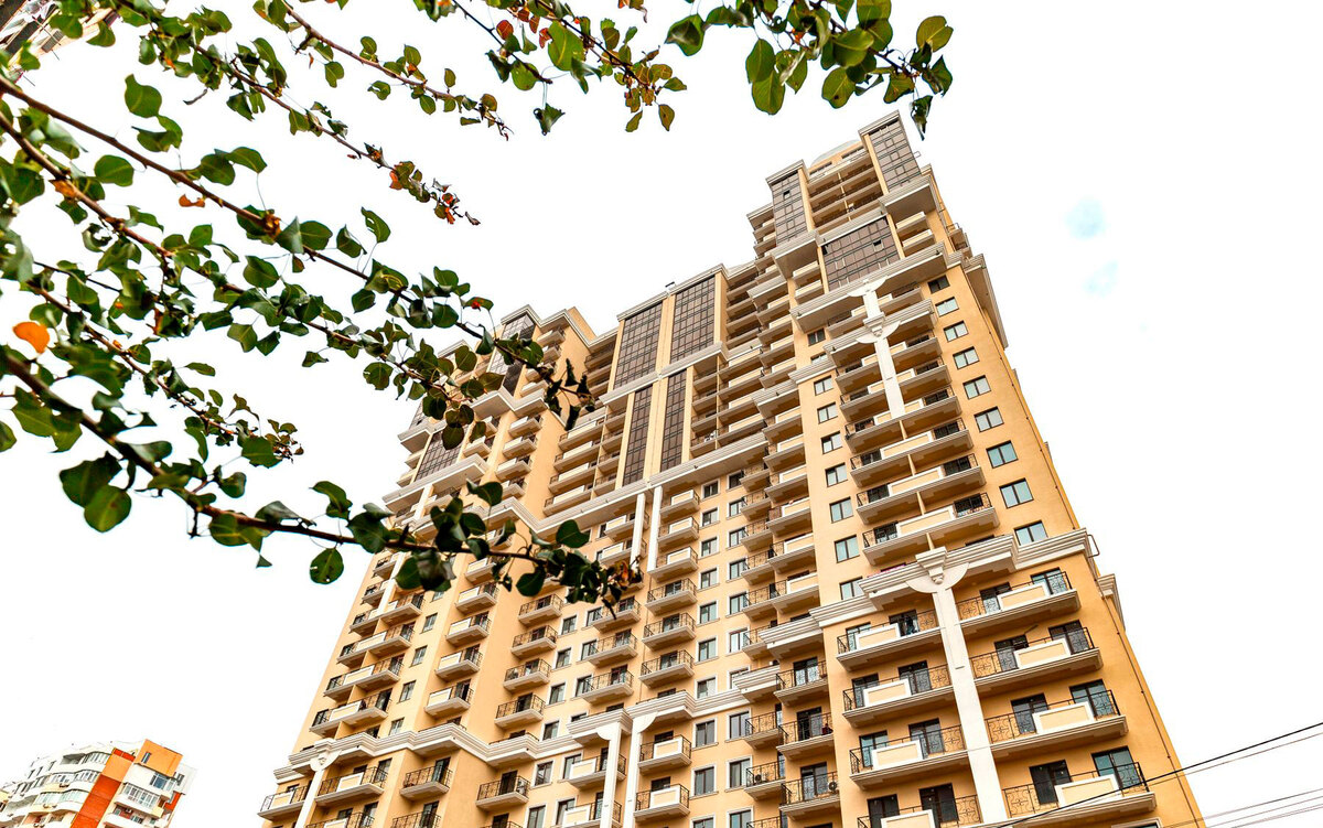 ˳���� ����