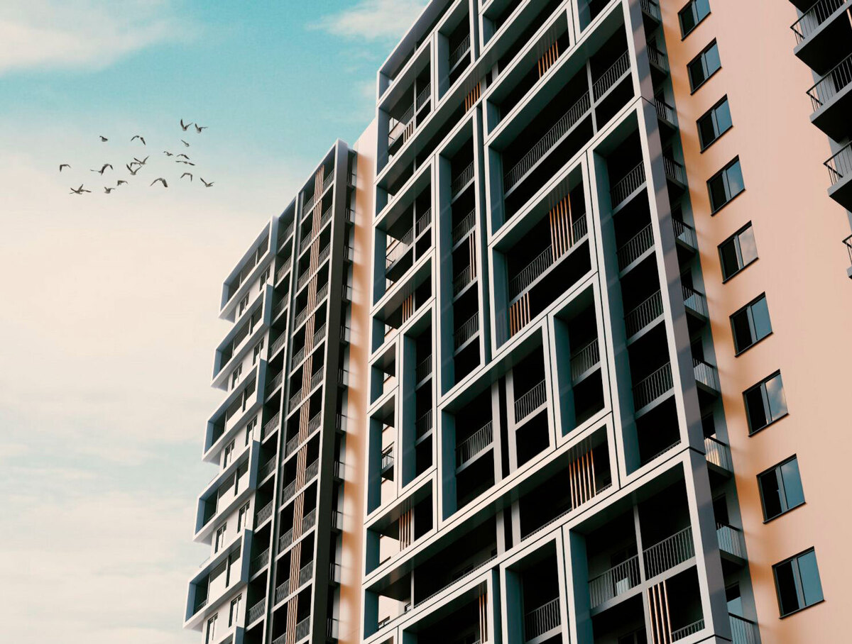 ʳ����� ����