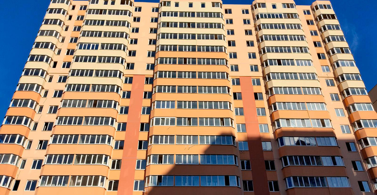 ³������ ����