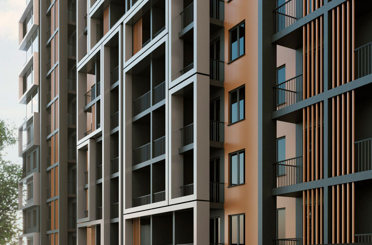 ʳ����� ����