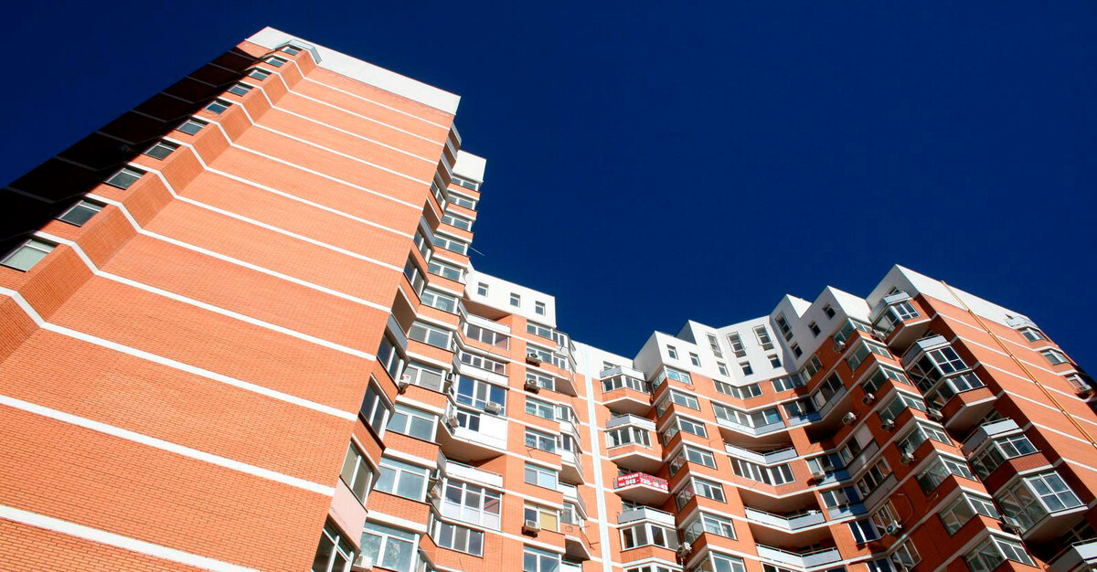 ������������ ����