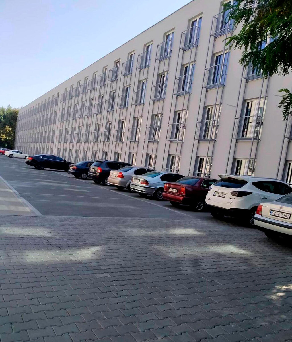 ����� ������ ����