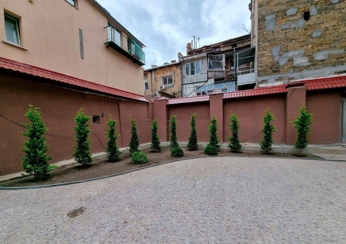 ³����� ����