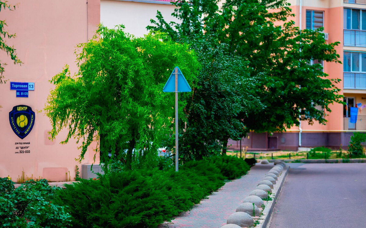 ����� ���� ����