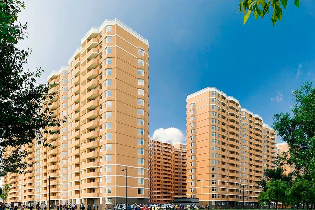 RealPark ����