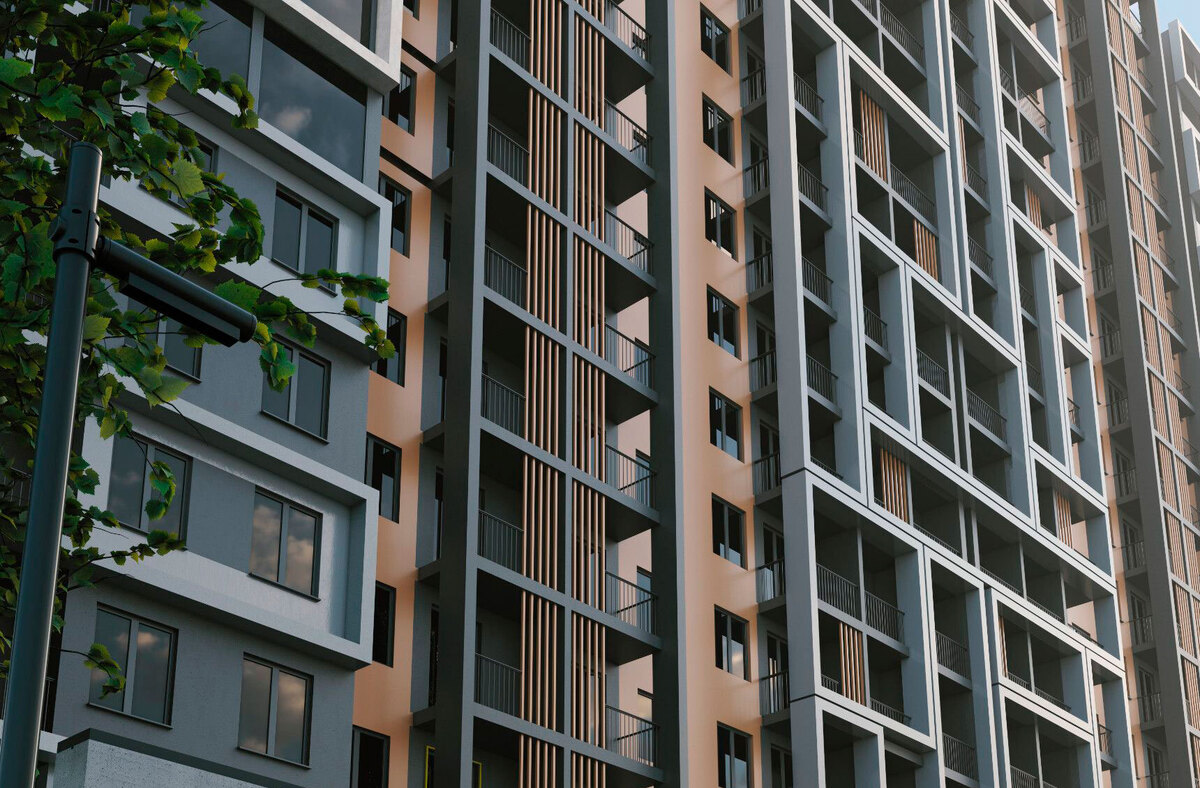 ʳ����� ����