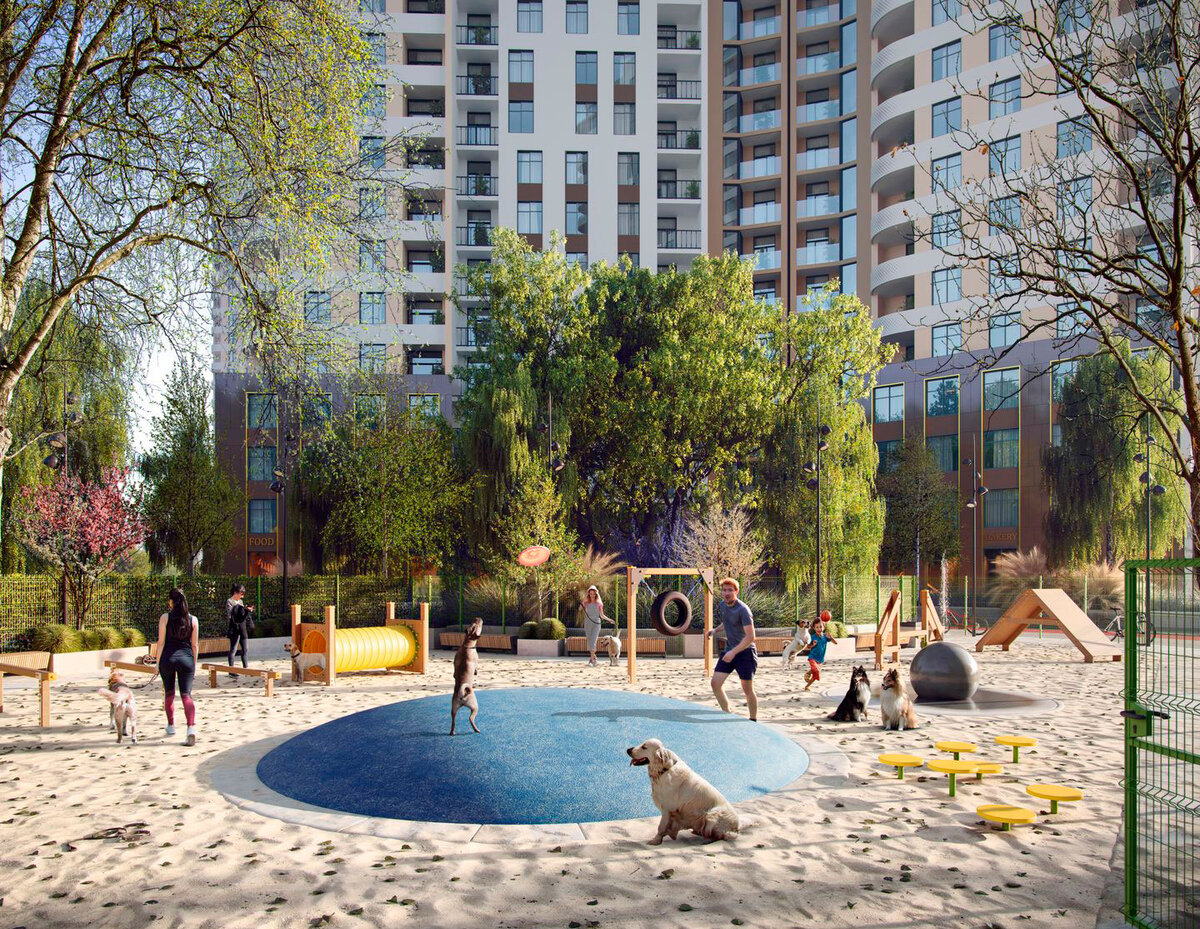 KADORR City ����