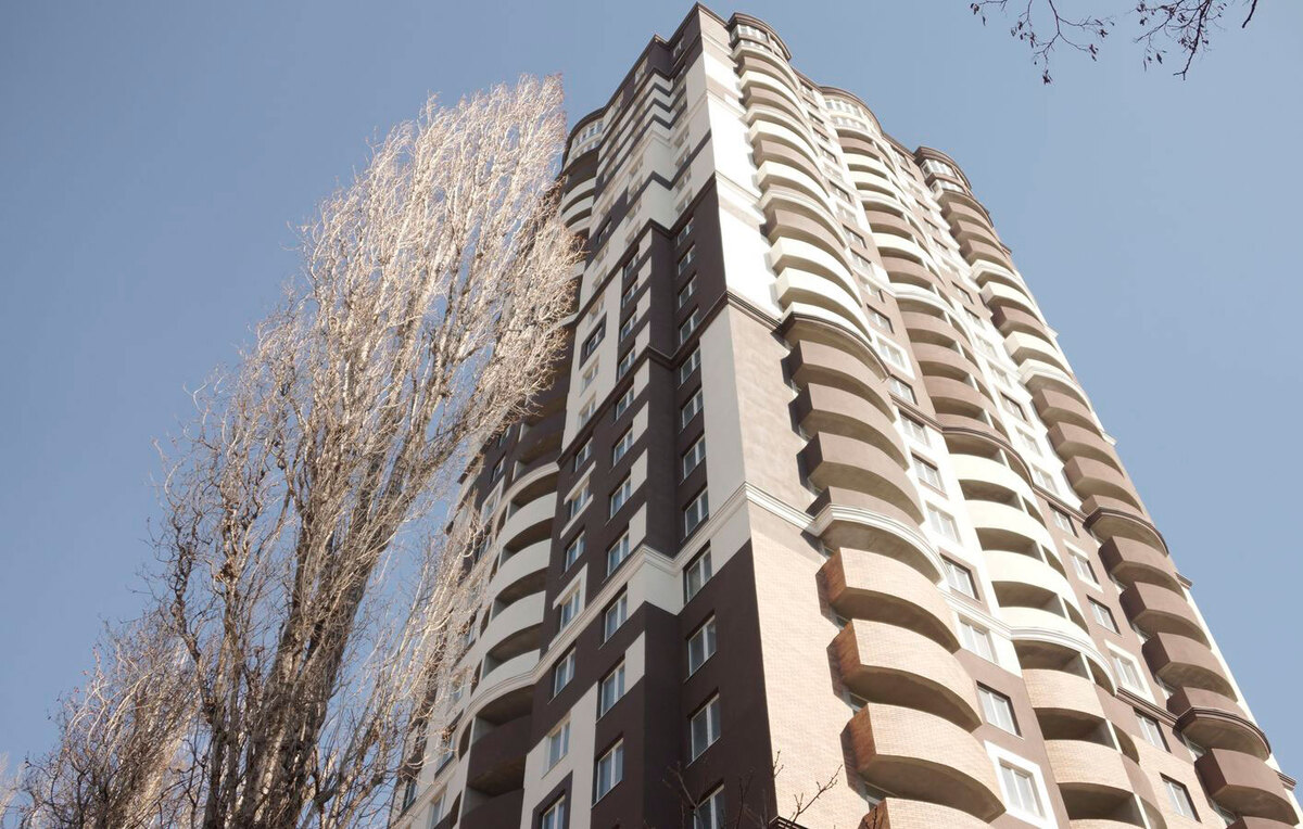 ��� ������� ����