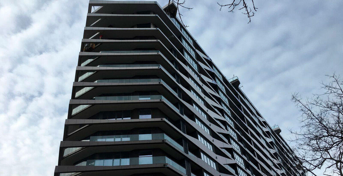 Green Wood ����