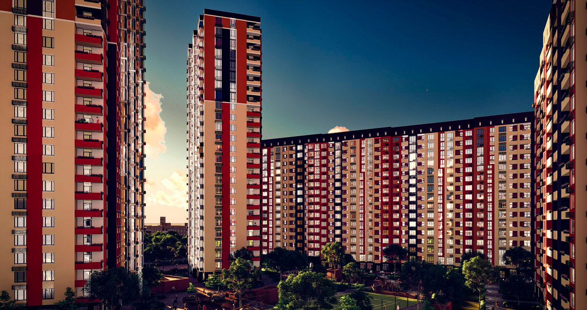 ������ ����