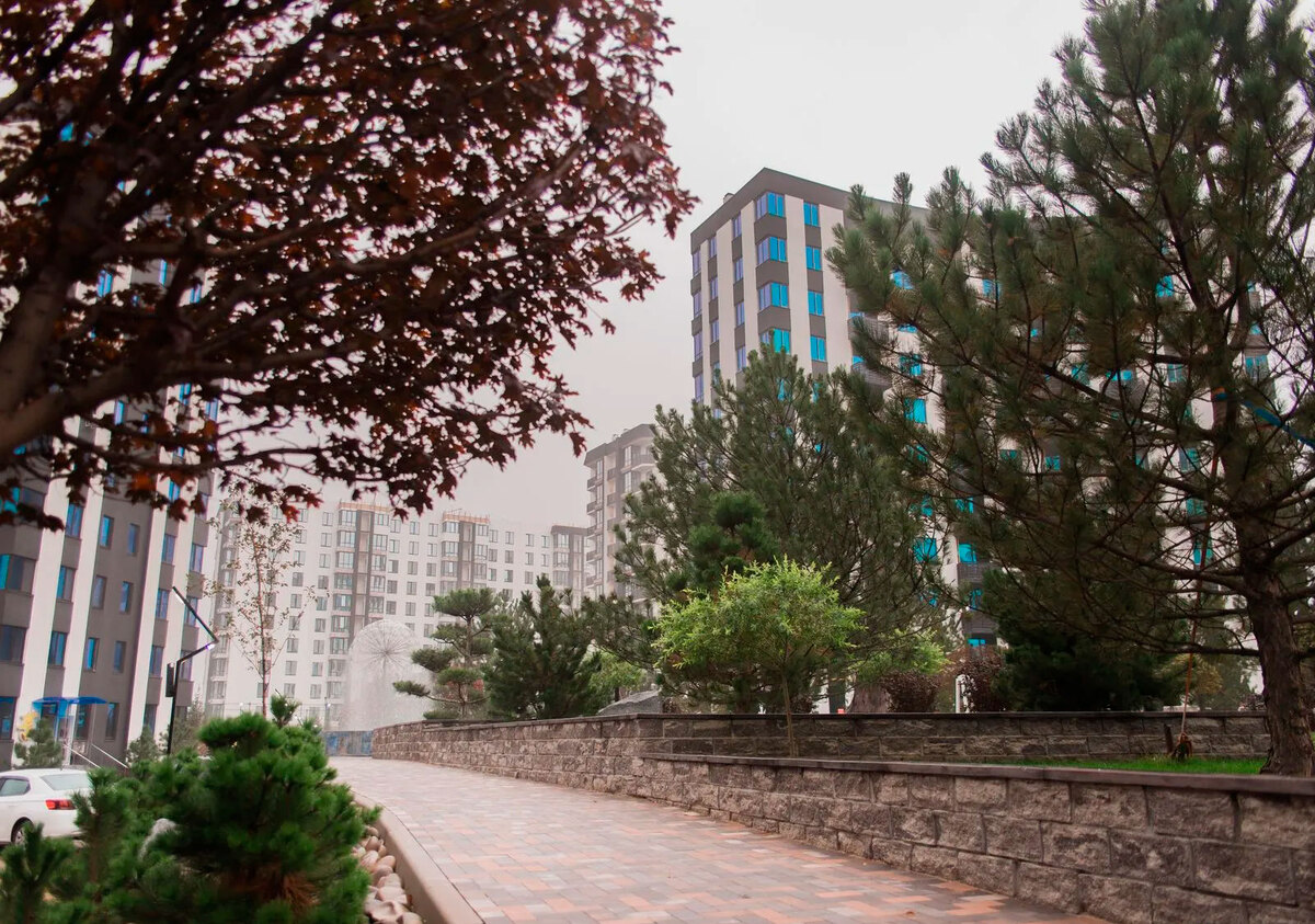 �-������� ����