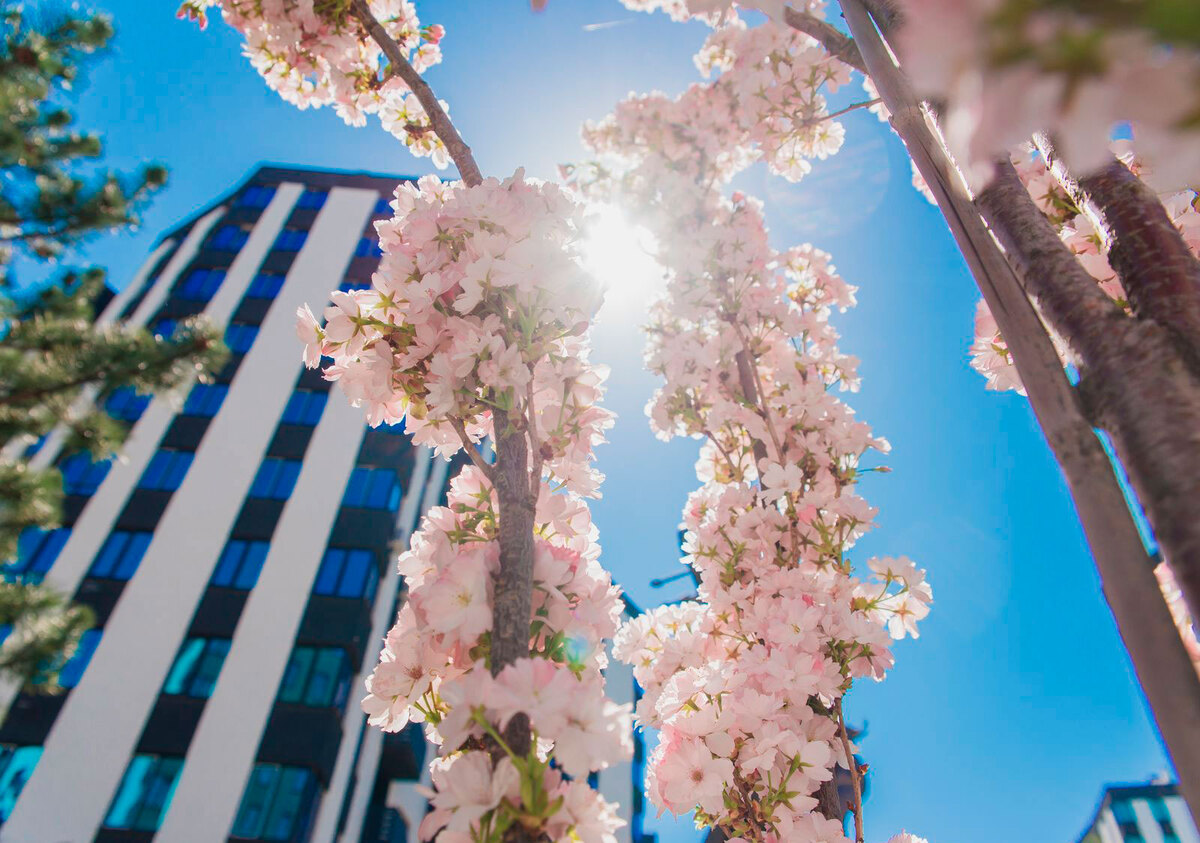 �-������� ����