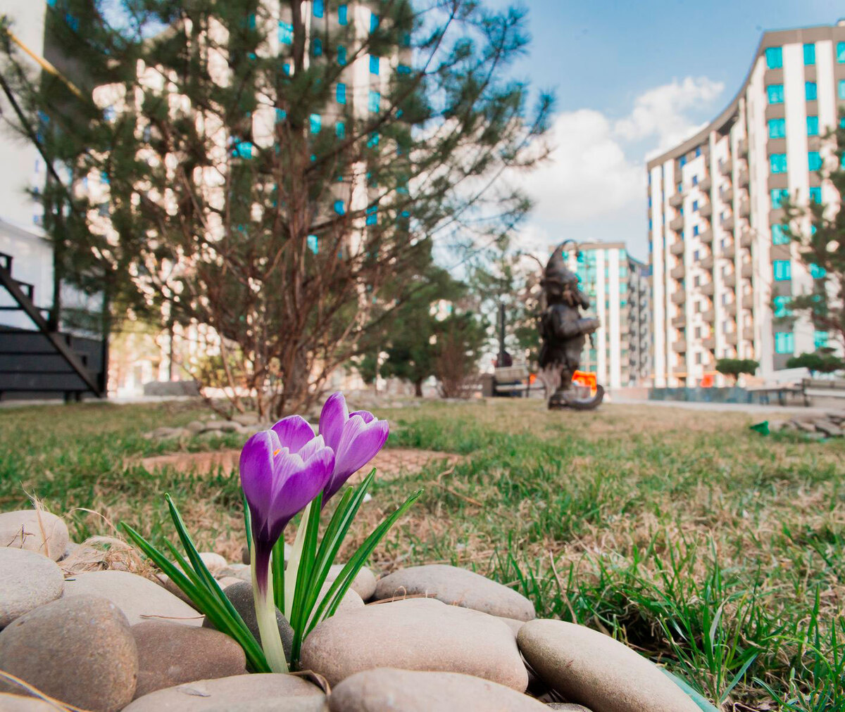 �-������� ����