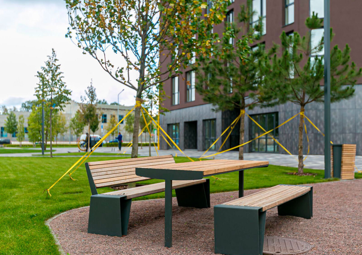 Paradise Avenue ����