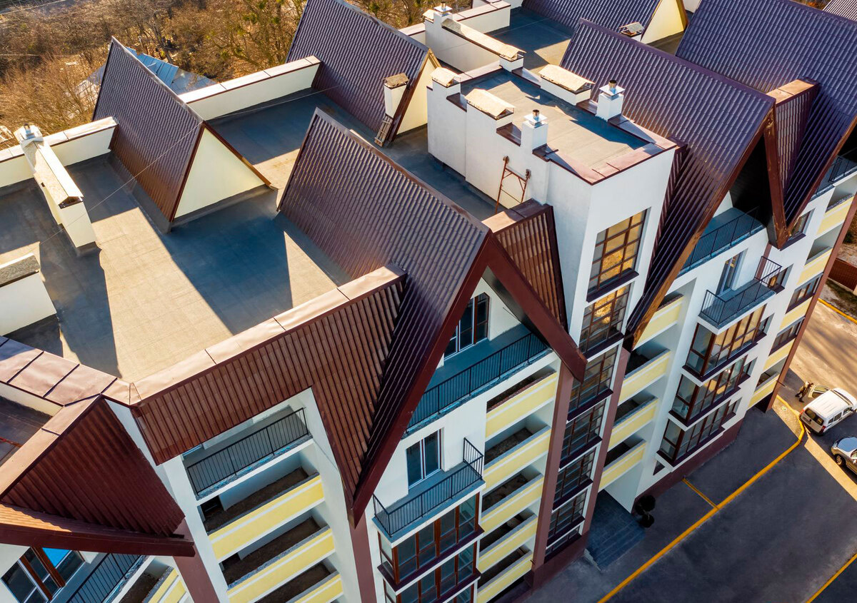 ��������� ���� ����