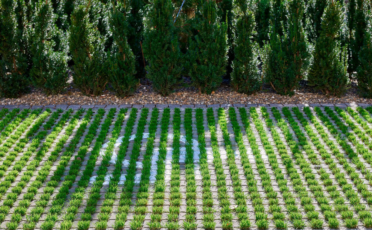 ������� �� ��������� ����