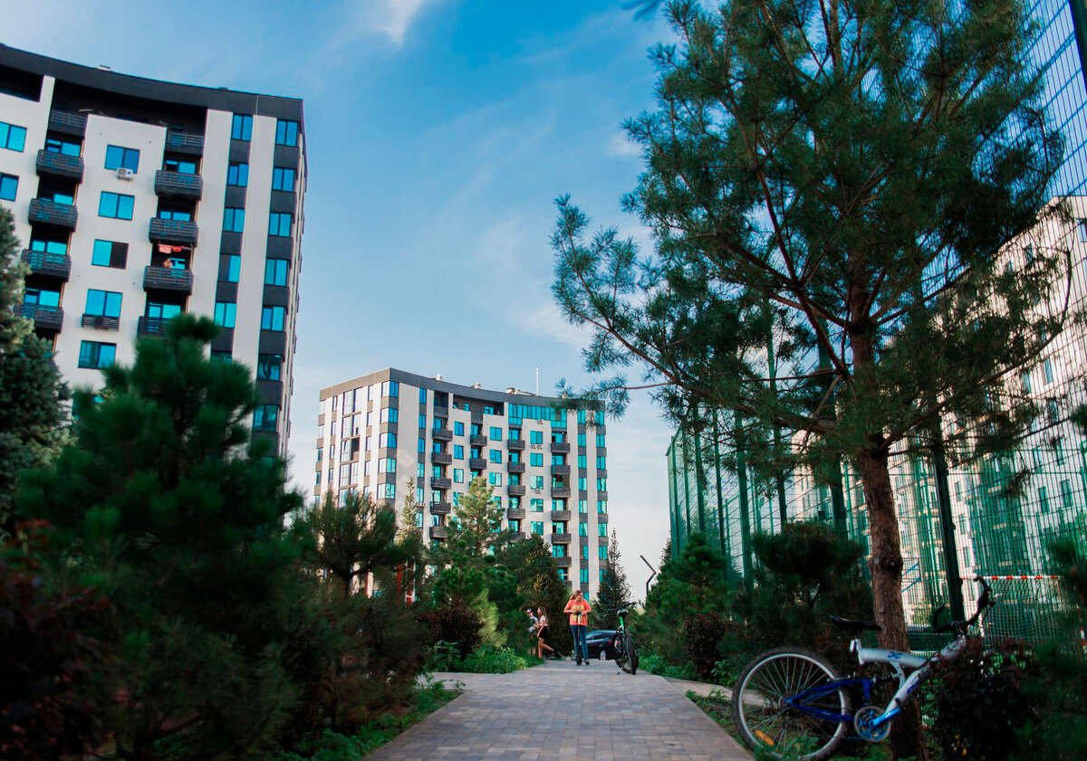 �-������� ����