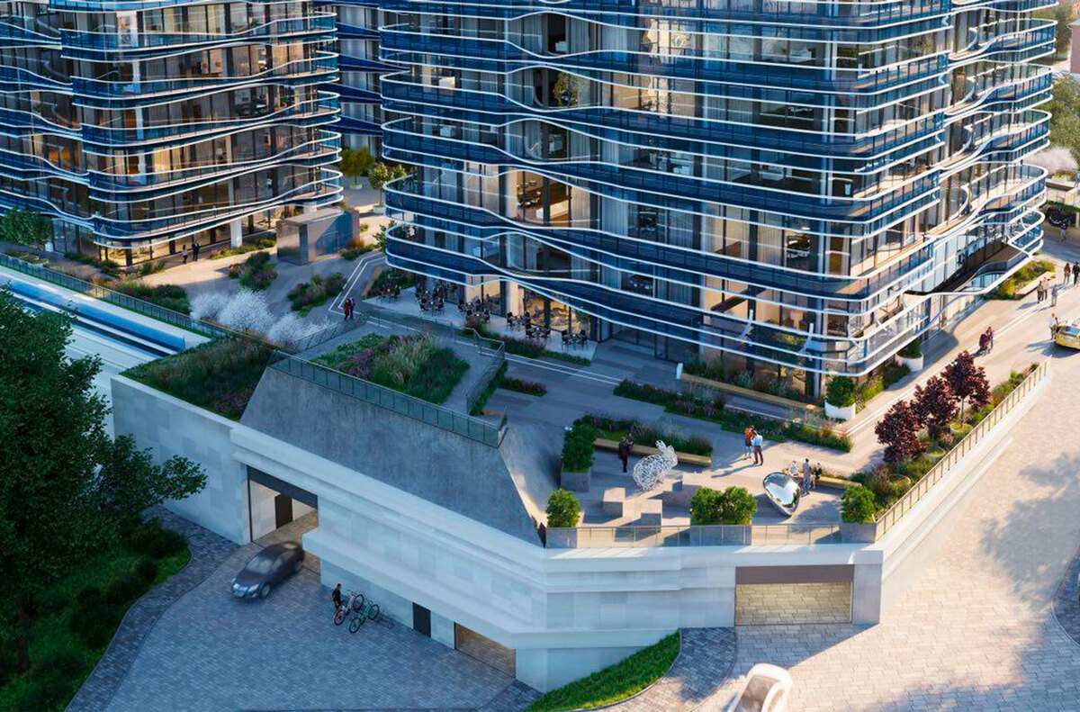 Signature ����