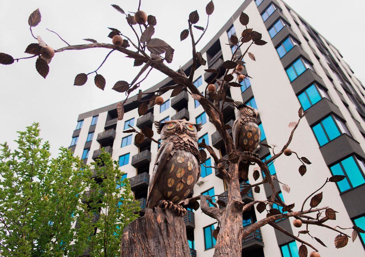 �-������� ����