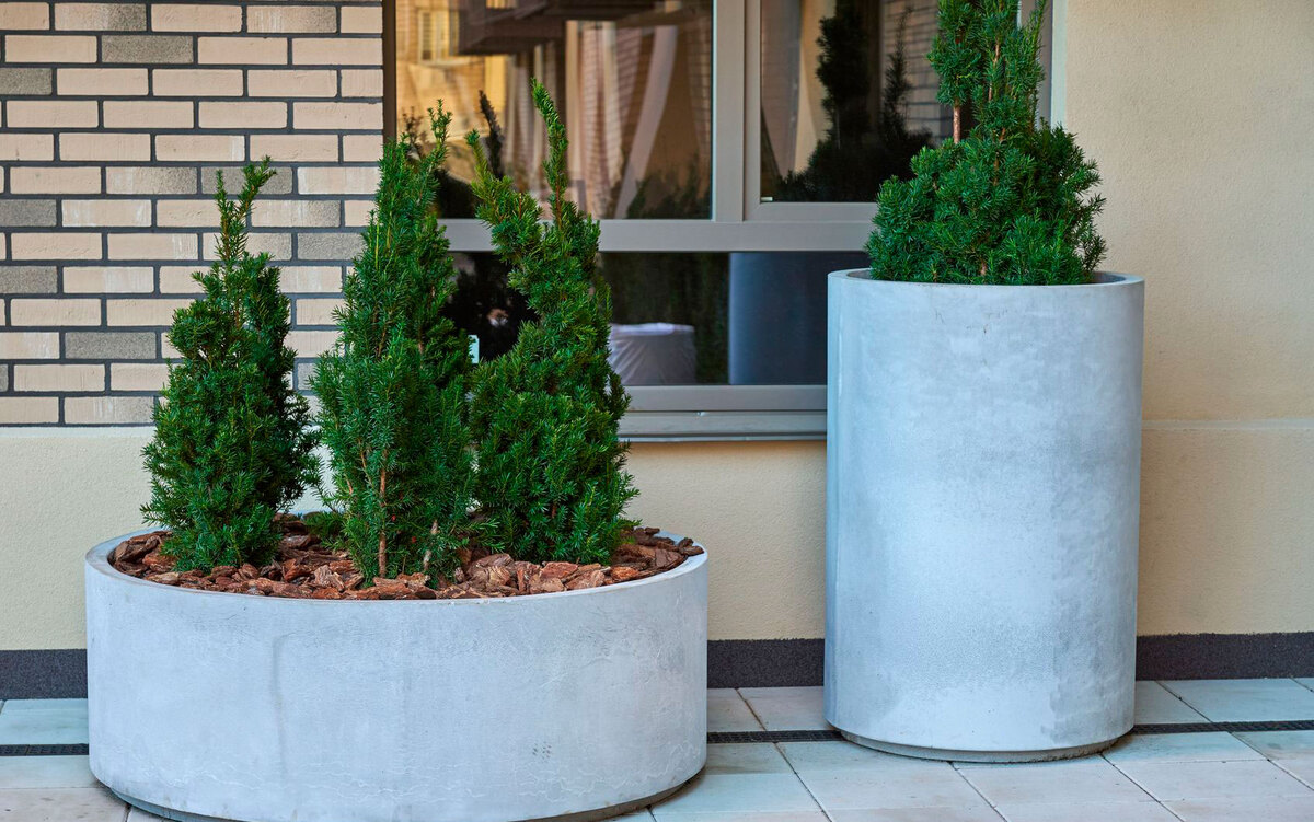 ������� �� ��������� ����