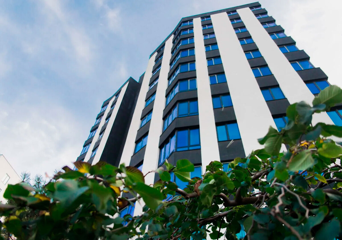 �-������� ����