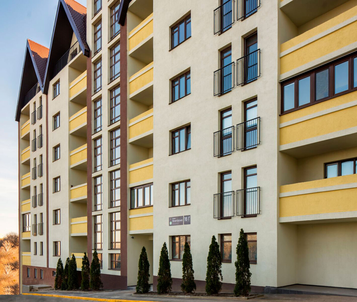 ��������� ���� ����