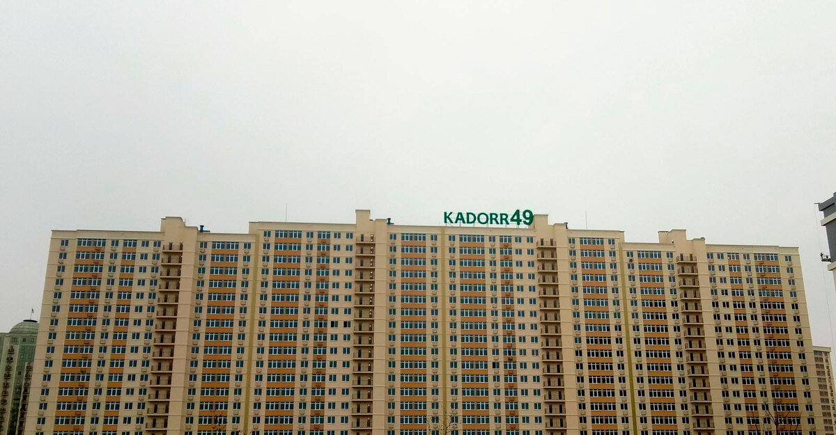 49 ������� ����