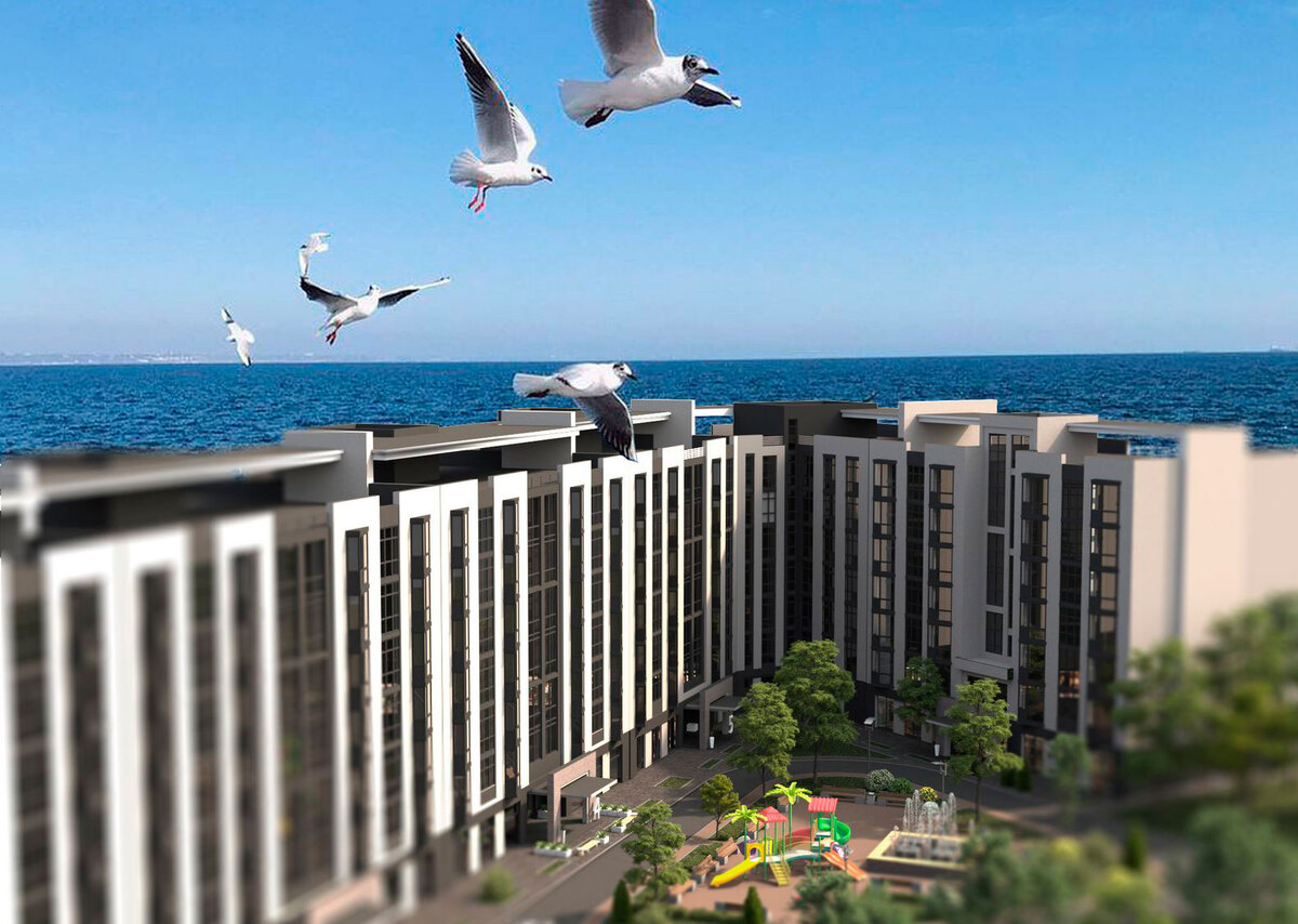 City House Resort ����