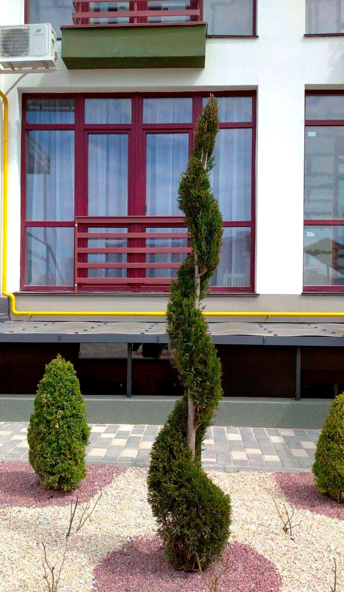 SMART City ����